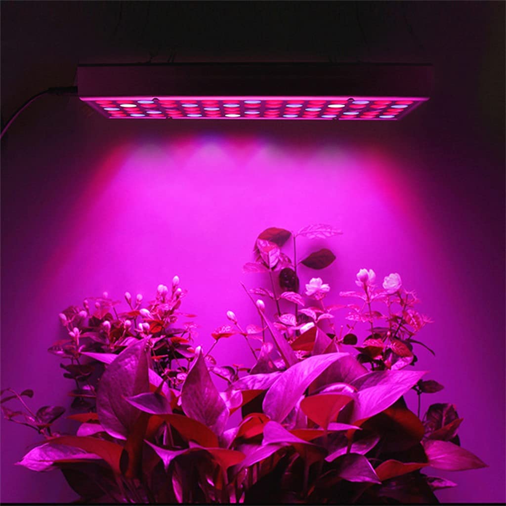 LED Grow Light para Plantas de Interior,Lámpara de Cultivo de Panel de 45W,225 LED Luces de Planta de Espectro Completo,para Invernadero,Hidroponía,Plántulas,Verduras