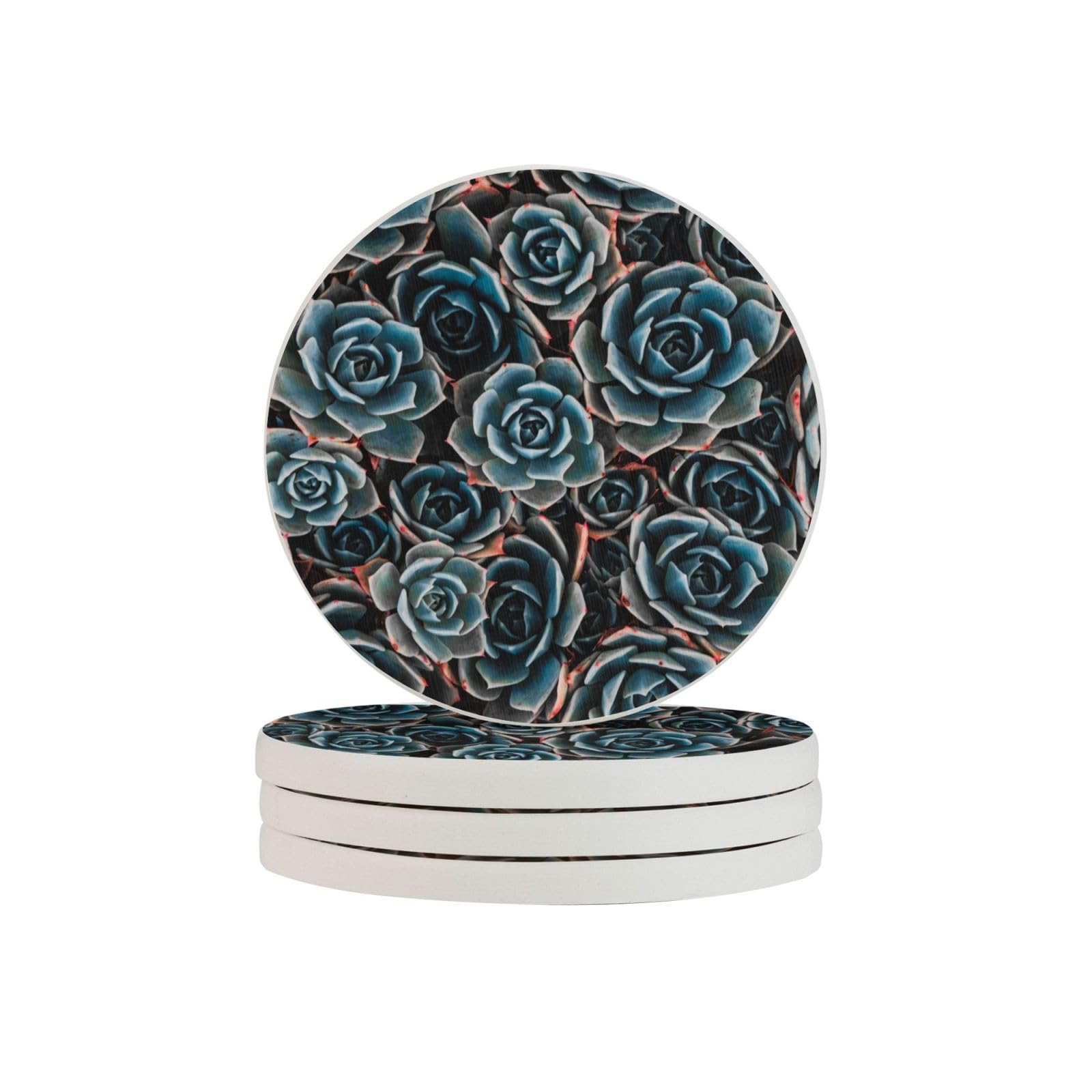 Round Coasters,Diatomite Coasters Drink Coasters,Mugs Pad Cups Mat Set of 4Fresh Succulents Printed