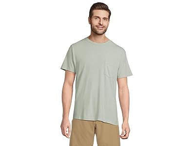 RVCA PTC 2 Pigment Short Sleeve Men
