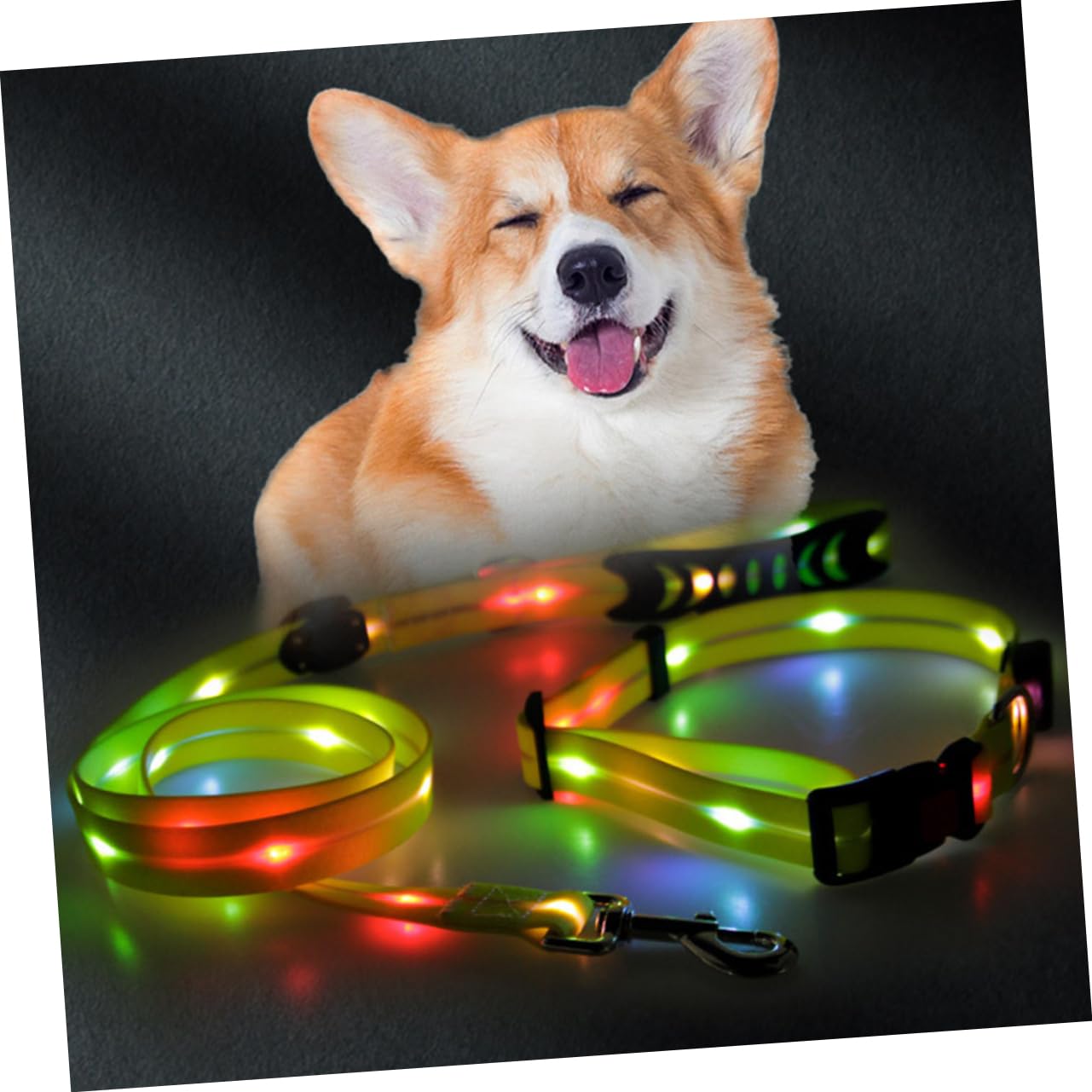 1juego Correa y Collar Led Luminosos para Perros De Cuerda De Seguridad para Paseo Nocturno y Protección De Mascotas