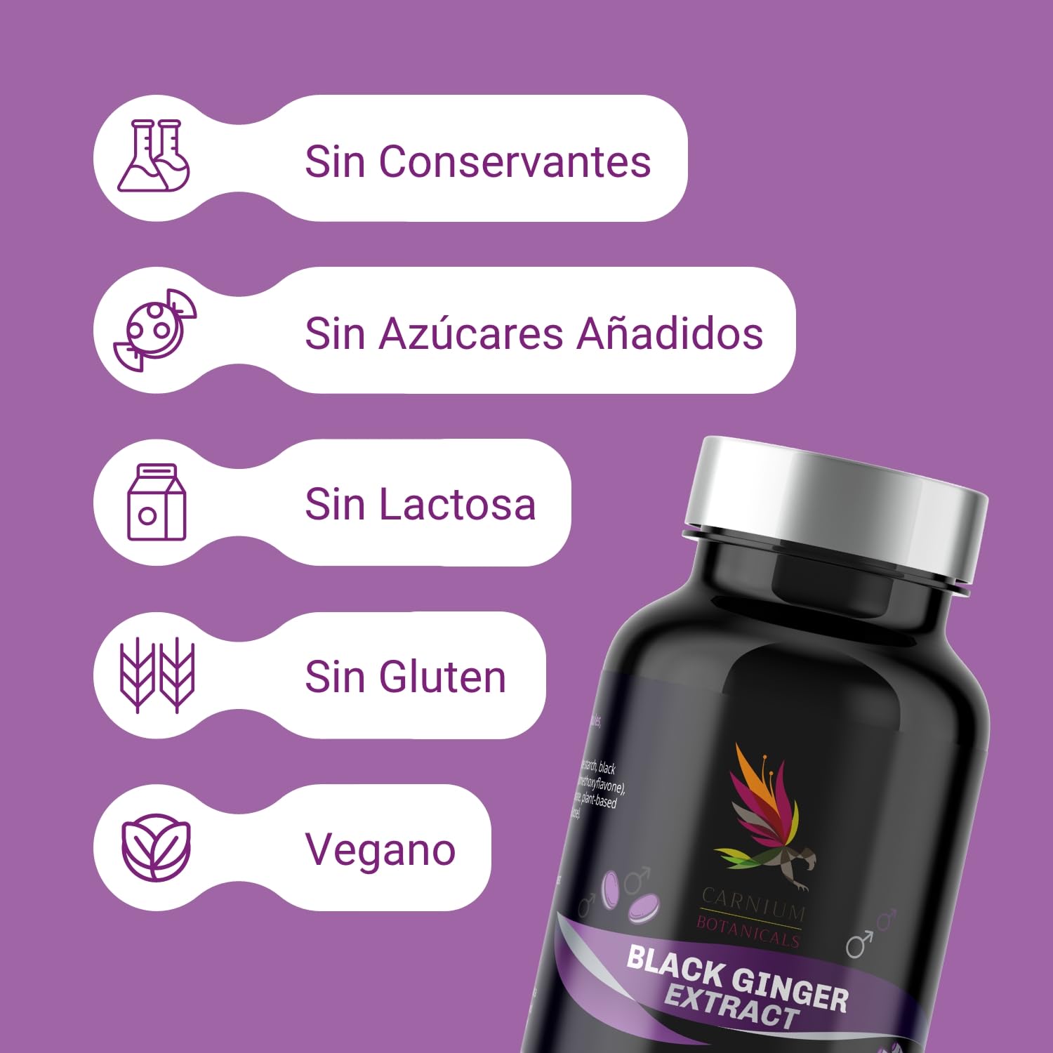 Carnium Botanicals Black Ginger Extract – Jengibre en capsulas de alta concentración – Gengibre Sin Gluten y Sin Lactosa – 30 cápsulas