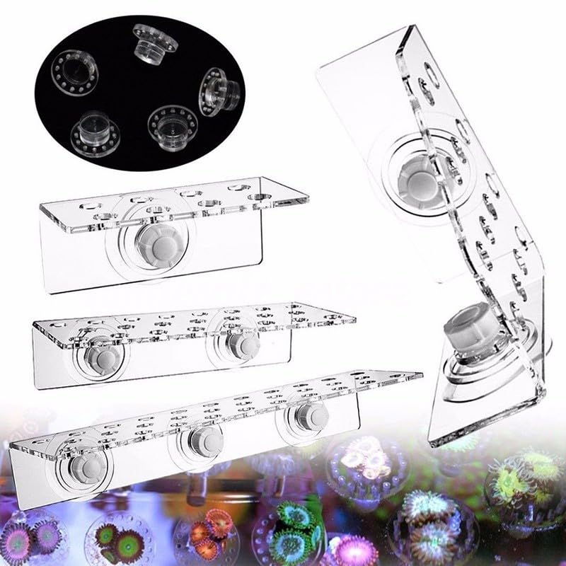 Kit de support pour aquarium marin conçu pour la culture de coraux vivants (CRB-8)