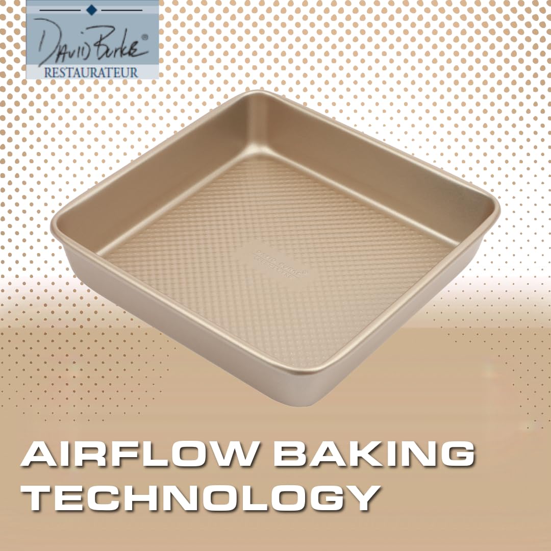 Square Pan Lot #59 David Burke Gourmet Pro 9½