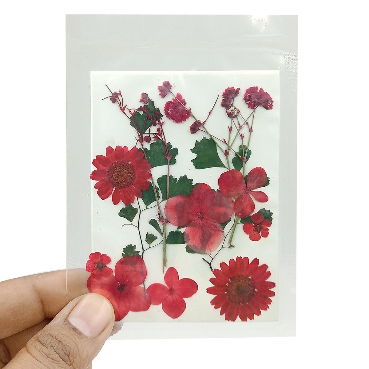 Natural Real Dried & Pressed Flowers Combo Sheets for Art Craft - Mixed, Multicolor for Soap, Candle, Scrapbooking, DIY, Resin Jewelry, Pendant - [Assorted: Red Flowers Sheet 13 x 9 cm]-image-20