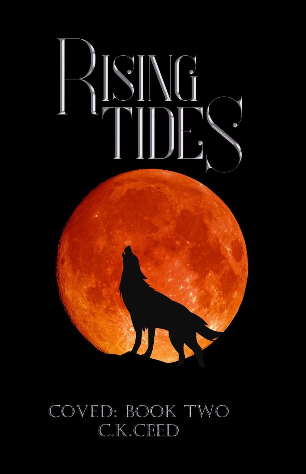 Rising Tides: Coved: Book Two