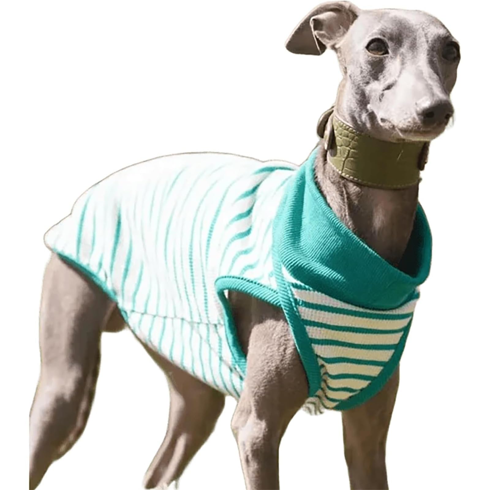 Sleeveless Striped Dog T-Shirt For Medium Dogs, Breathable Italian Greyhound Summer Vest Lightweight Cotton Pullover Clothes for Whippet Shirt(M)