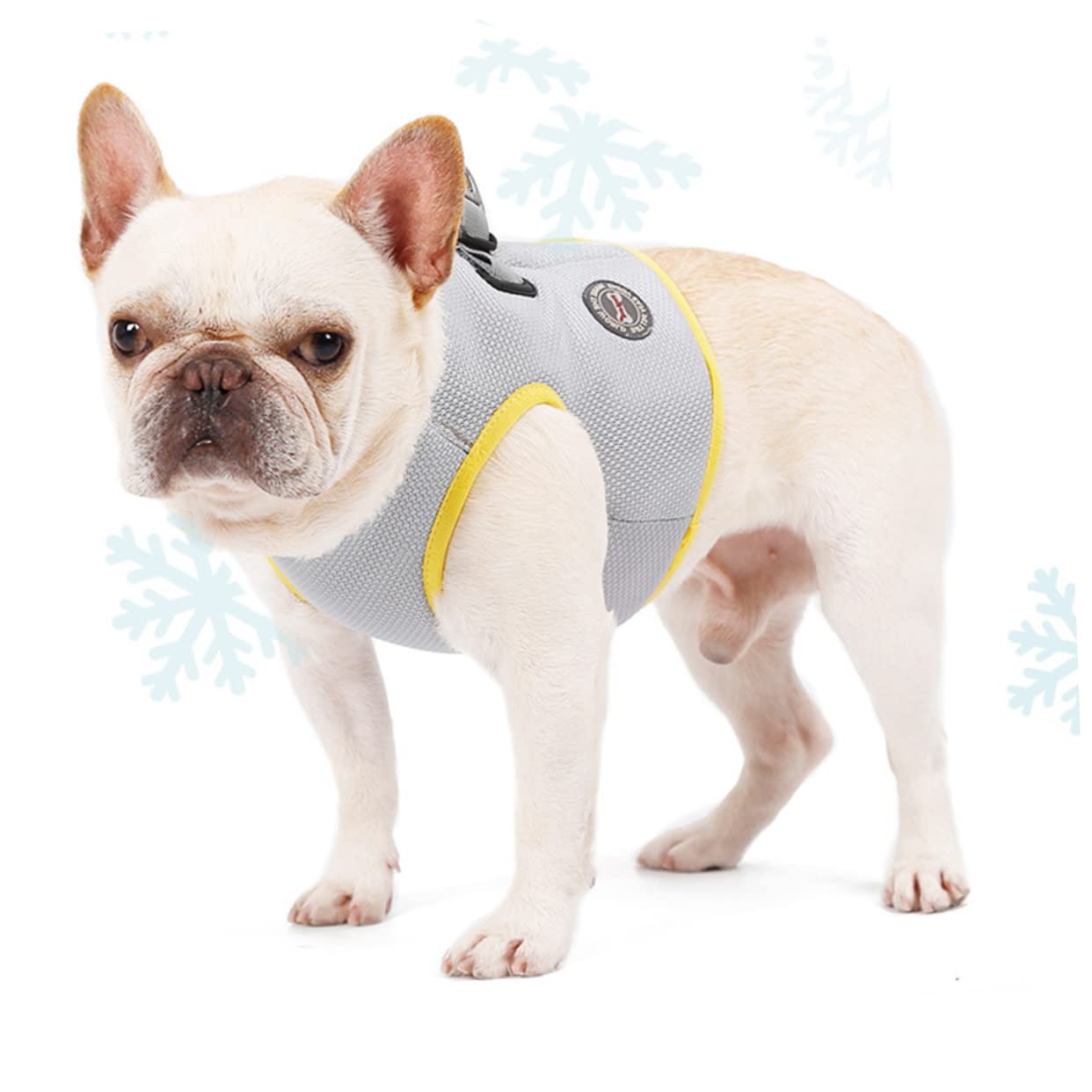 FOMIYES 2pezzi Gilet Rinfrescante Per Pet Cooling Traspirante Per Attività Estive Vestibilità e Facile Indossare Xs Per e Jogging