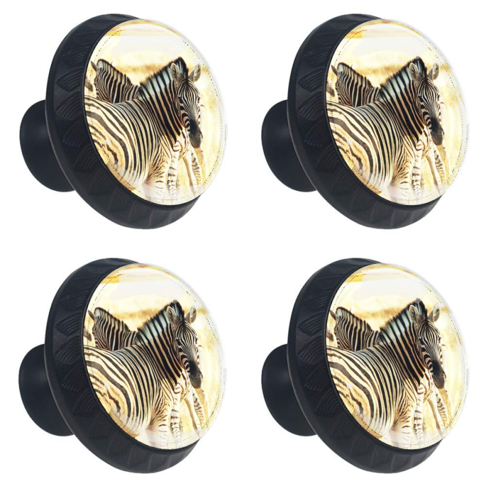 Animal Zebras Door Drawer Pull Handle Furniture Decoration for Kitchen Cabinet Dressing Table