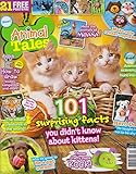 Animal Tales December 2016 101 Surprising Facts You Didn't Know About Kittens!