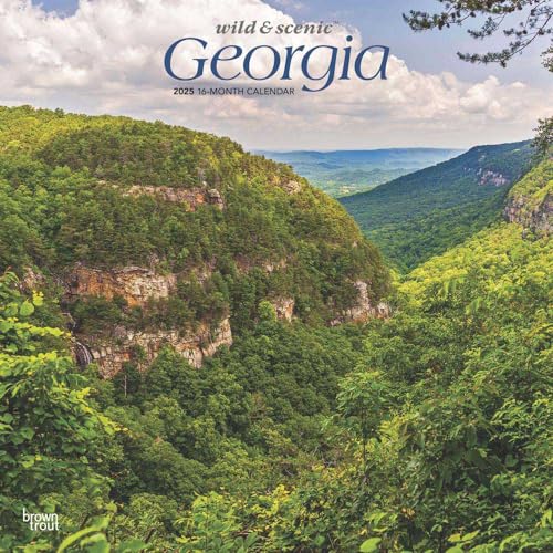 Georgia Wild & Scenic | 2025 12 x 24 Inch Monthly Square Wall Calendar | Plastic-Free | BrownTrout | USA Southeast State Nature Savannah Golf