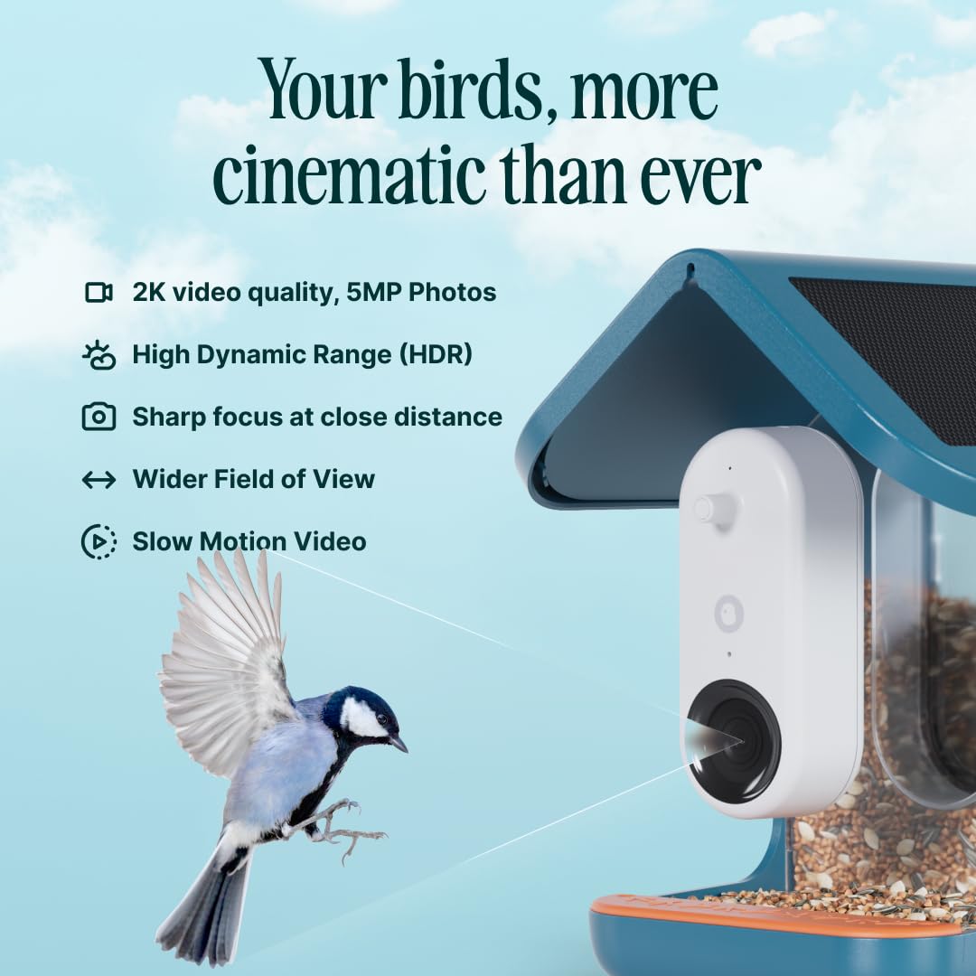 Bird Buddy Smart Bird Feeder Blue with Solar Panel 2.0