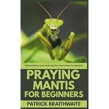 Praying Mantis Care for Beginners How to Raise, Feed, and Care for Your Insect Companion