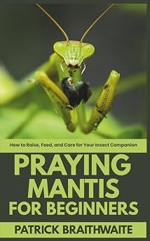Praying Mantis Care for Beginners How to Raise, Feed, and Care for Your Insect Companion