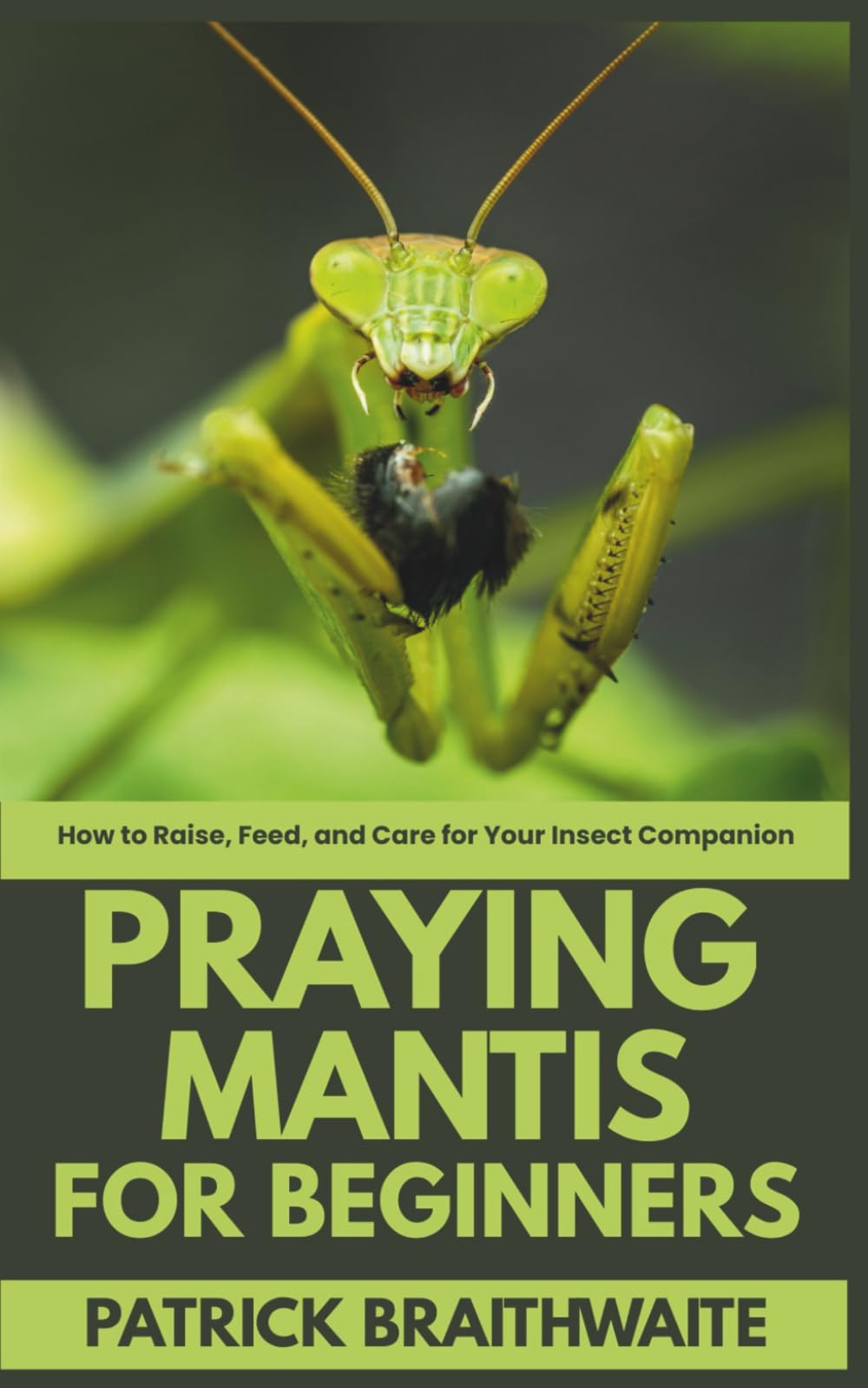 Praying Mantis Care for Beginners: How to Raise, Feed, and Care for Your Insect Companion