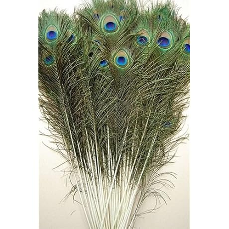 Captivating Peacock Feathers for Feline Pursuits: Enhancing Enrichment and Style