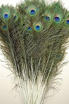 25 Pcs Natural Peacock Feathers 25"-40" 35"-40"