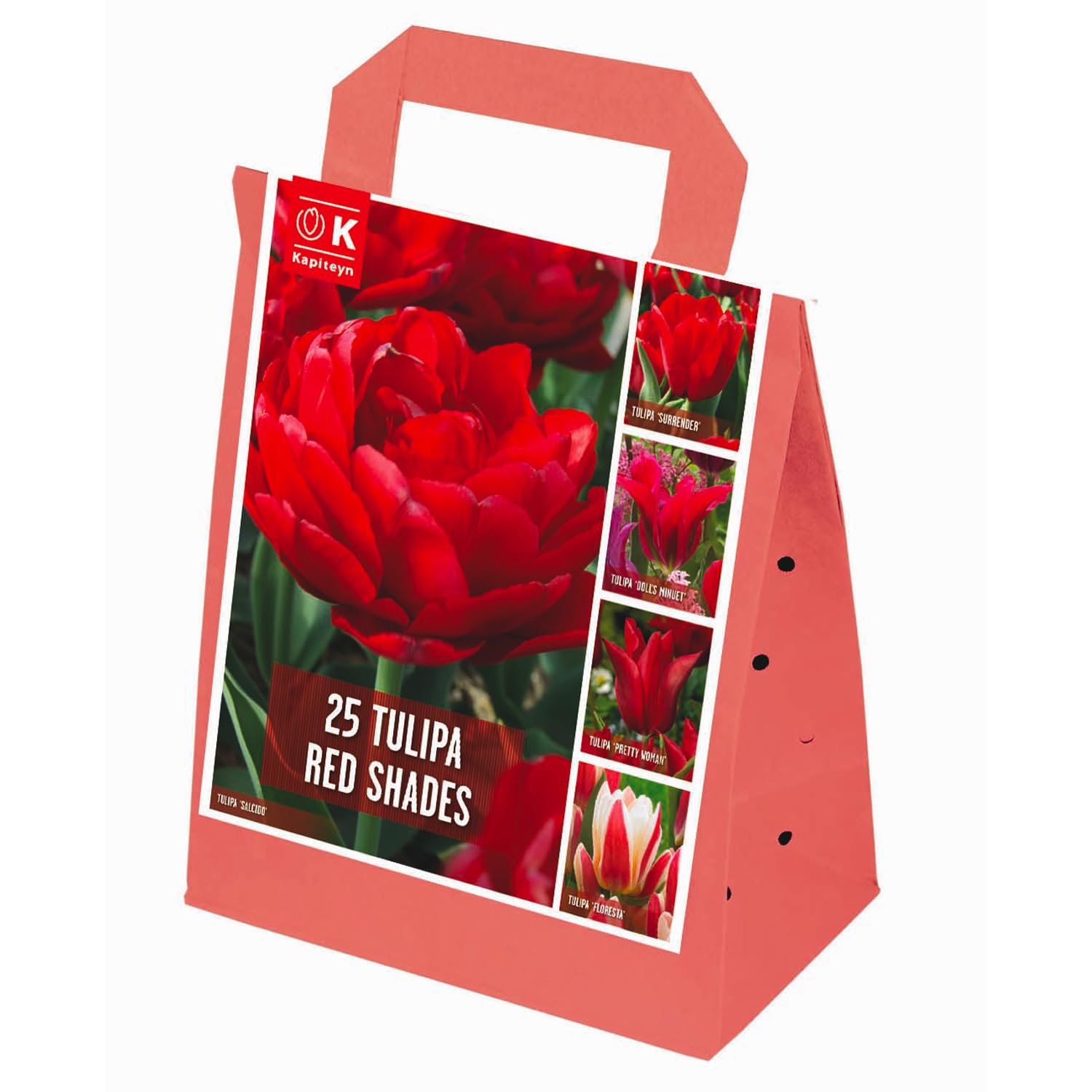 Bulbes de TULIPES | Bulbes des Meilleurs Producteurs Hollandais | Sélection Exclusive et Contrôle Qualité | Floraison Garantie (25 Bulbes de Tulipes Nuances de Rouge)