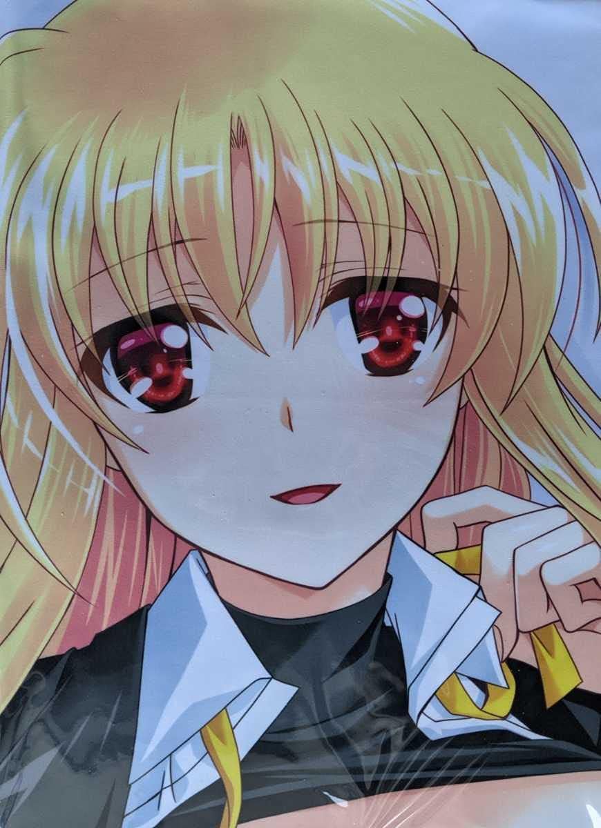 贈る結婚祝い なのはさん専用 抱きまくらカバー他 setonda.com