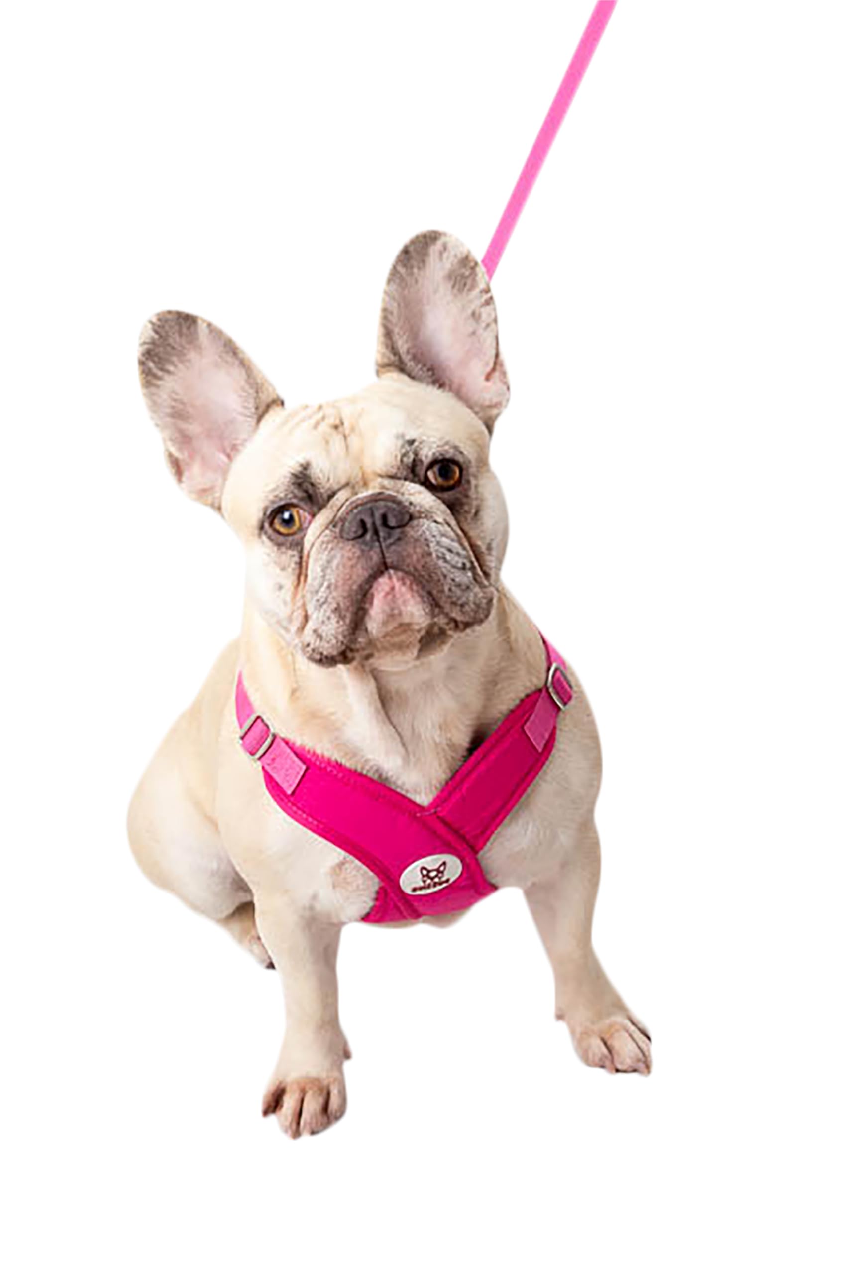 (Medium, Pink) Arnés Acolchado Gina para Perros pequeños - Bulldog francés, antitirón cómodo, Mango ergonómico, Correa Amplia (Mediano, Rosa)