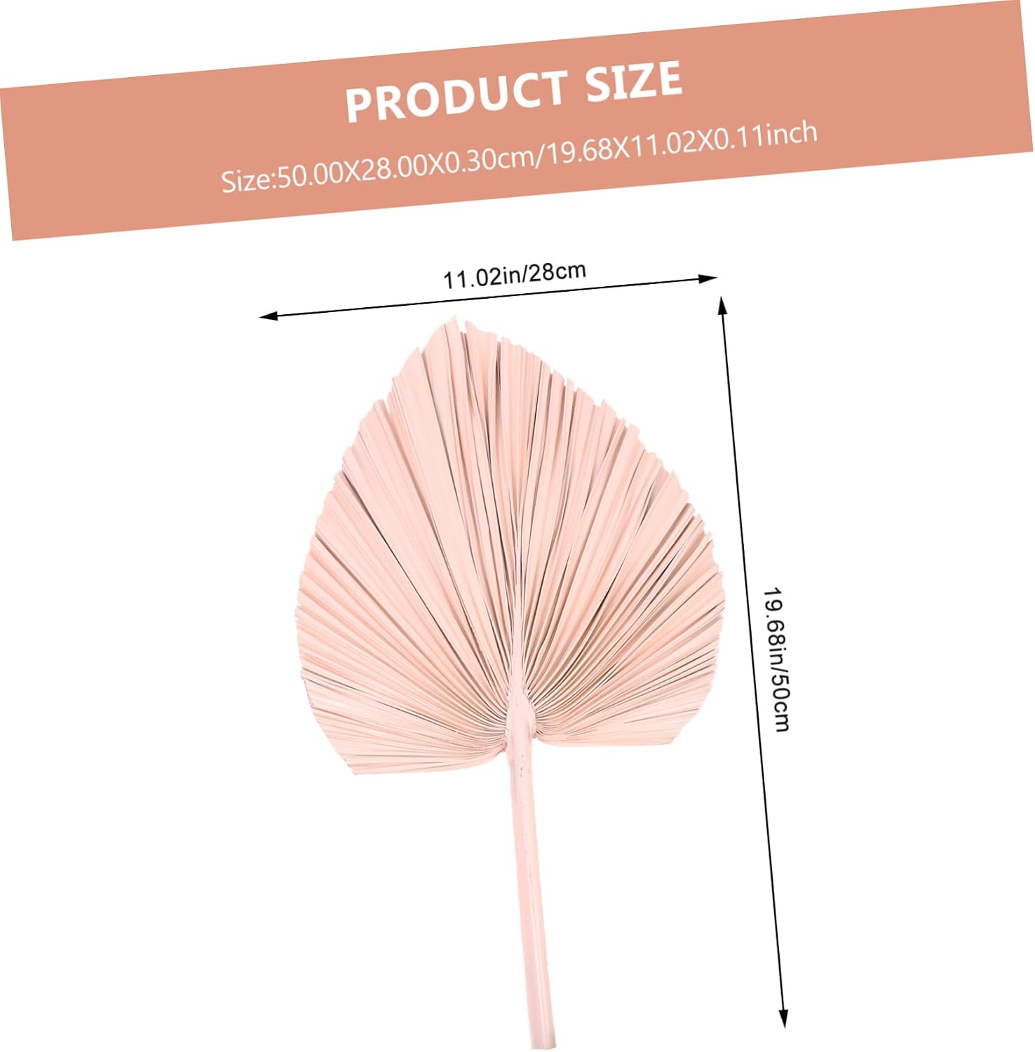 Unomor Dried Palm Leaf Decorative Fan Natural Faux Palm Leaf for Wedding Home Decoration and Floral Arrangements Chic Boho Style Accent for Celebrations