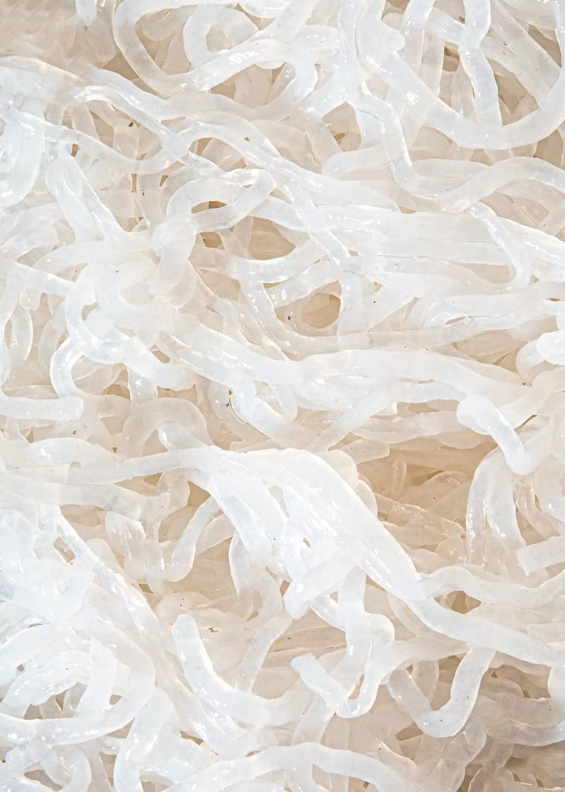 KoRo – Bio Konjaknudeln in Wasser 8 x 1 kg – Kalorienarme Alternative zu Weizennudeln – Fettfrei – Vegan
