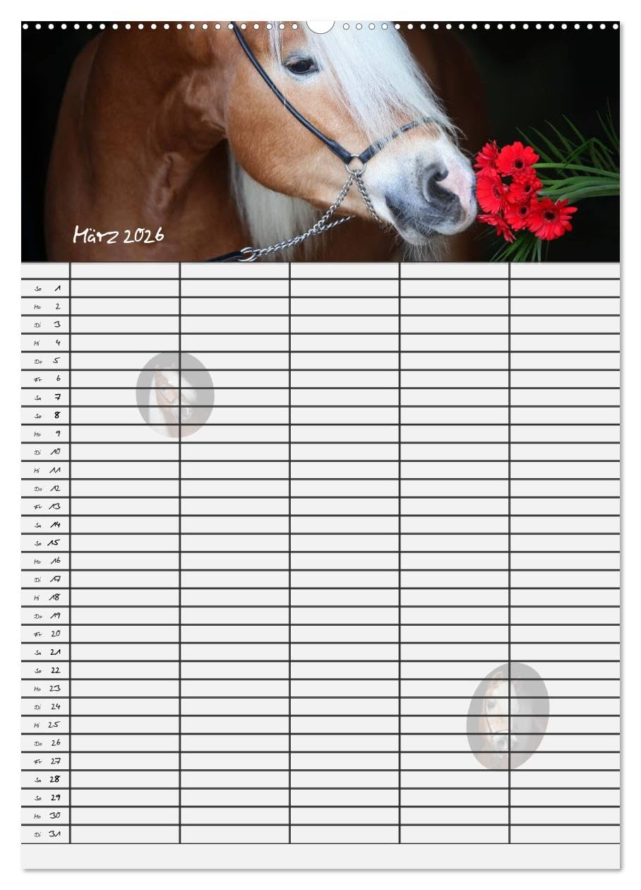 Haflinger Pferde - Stall- und Familienplaner 2026 (hochwertiger Premium Wandkalender 2026 DIN A2 hoch), Kunstdruck in Hochglanz: Stallplaner und ... Blick mit Haflinger Pferden (CALVENDO Tiere)