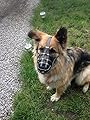 New Genuine Light leather Dog Muzzle German Shepherd and Other Similar Snout (Black Leather, W1)