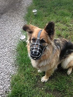 New Genuine Light leather Dog Muzzle German Shepherd and Other Similar Snout (Black Leather, W1)