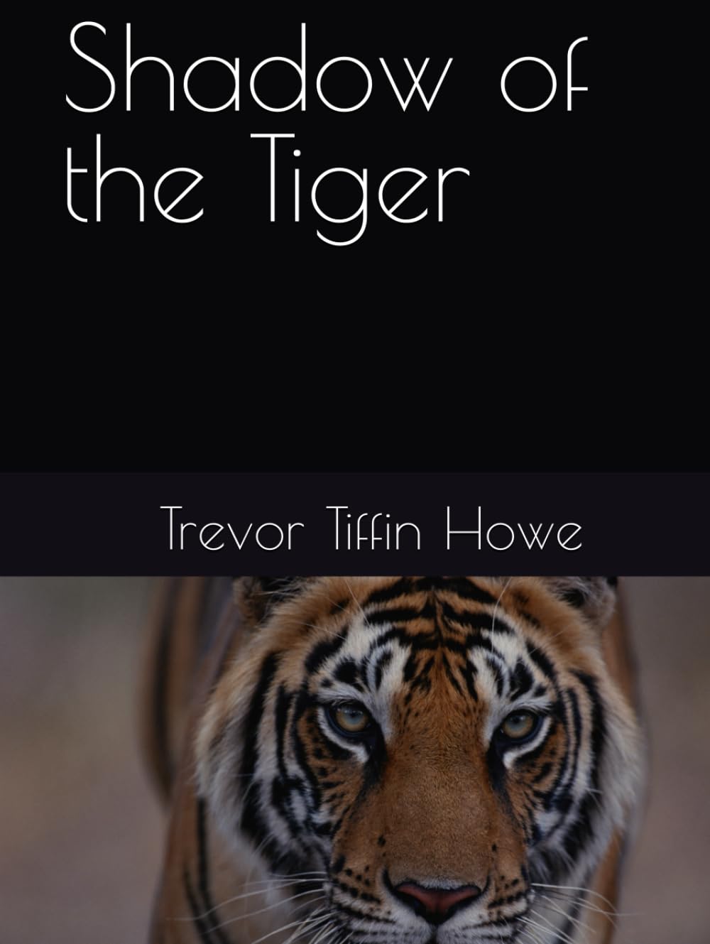 Shadow of the Tiger (Black Ebony Series)
