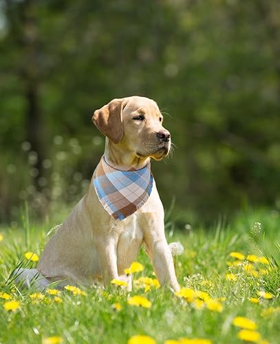 Miniatura 9 de Bandana de otoño para perro, otoño, Acción de Gracias, amarillo, verde, a cuadros, reversible, triangular, bufanda, accesorios para perros y mascotas