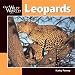 Leopards (Our Wild World)