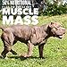 MVP K9 Formula Mass Weight Gainer for Dogs - Helps Promote Healthy Weight Gain, Size and Muscle in Dogs - Great for Skinny, Underweight, Picky Eaters. All Breed Formula, Made in USA (45 Servings)