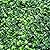 Sunnyglade 12 Pieces 20"x 20" Artificial Boxwood Panels Topiary Hedge Plant, Privacy Hedge Screen Sun Protected Suitable for Outdoor, Indoor, Garden, Fence, Backyard and Decor (12PCS)