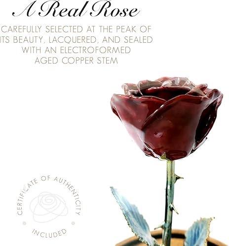 Miniatura 3 de Forever Rose Borgoña encantada en cúpula de cristal inspirada en la flor de la Bella y la Bestia, rosa preservada grabada a mano Rosa sumergida a