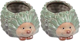 Cabilock 2Pcs Planter Suculenta Ouriço Bonito Vaso de Flores Planta Suculenta Pote Pequeno Animal Vaso Suculenta Vaso de Flores Plantador de Resina para Jardim Decoração Desktop Em Casa