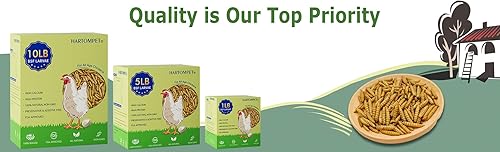 Miniatura 8 de Larvas secas de mosca soldado negro de 1 libra, alimento de pollo sin OMG y lleno de nutrientes, fuerte producción de huevos y salud, rico en calcio