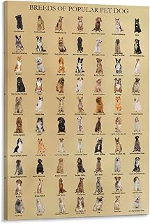 HLLNWB Breeds of Popular Pet Dog Poster Dog Lovers Animals Poster Educational Charts Gifts for Children (Frame 12x16inch)