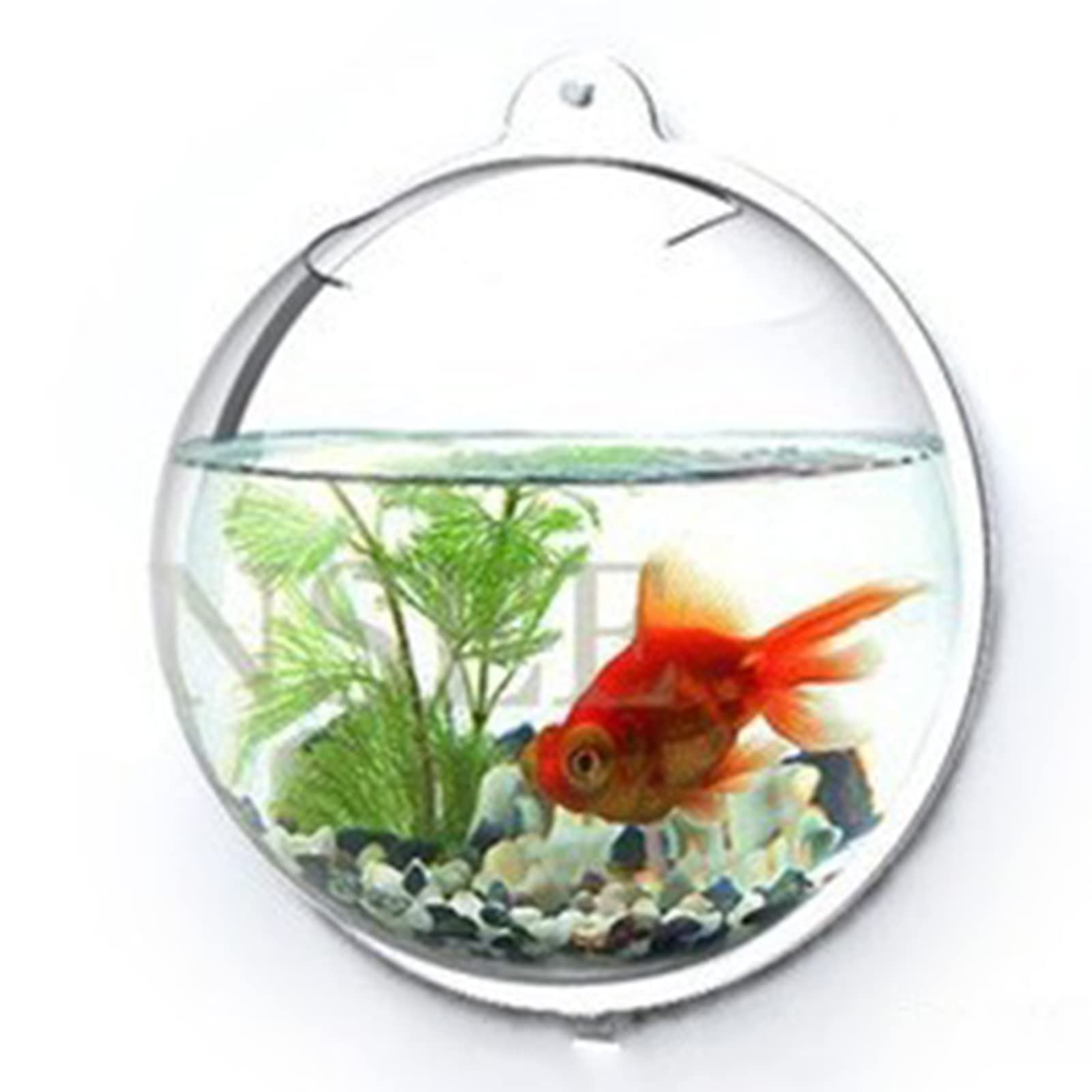 Aquarium Mural à Suspendre en Acrylique Transparent,Aquarium Tenture Murale Aquarium Produits pour Animaux Aquatiques Claire, 23 cm