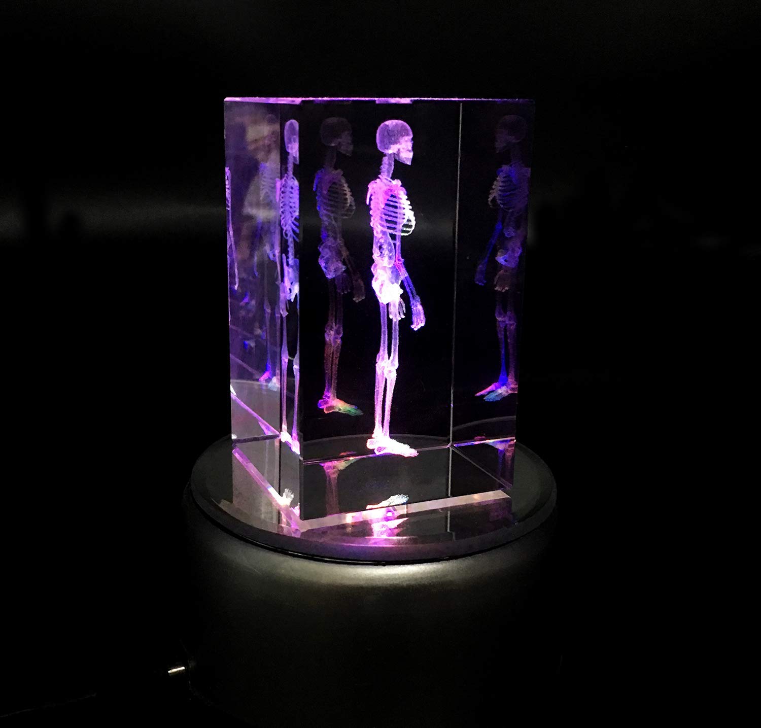 Model anatomiczny szkieletu człowieka 3D, ciężarek papierowy