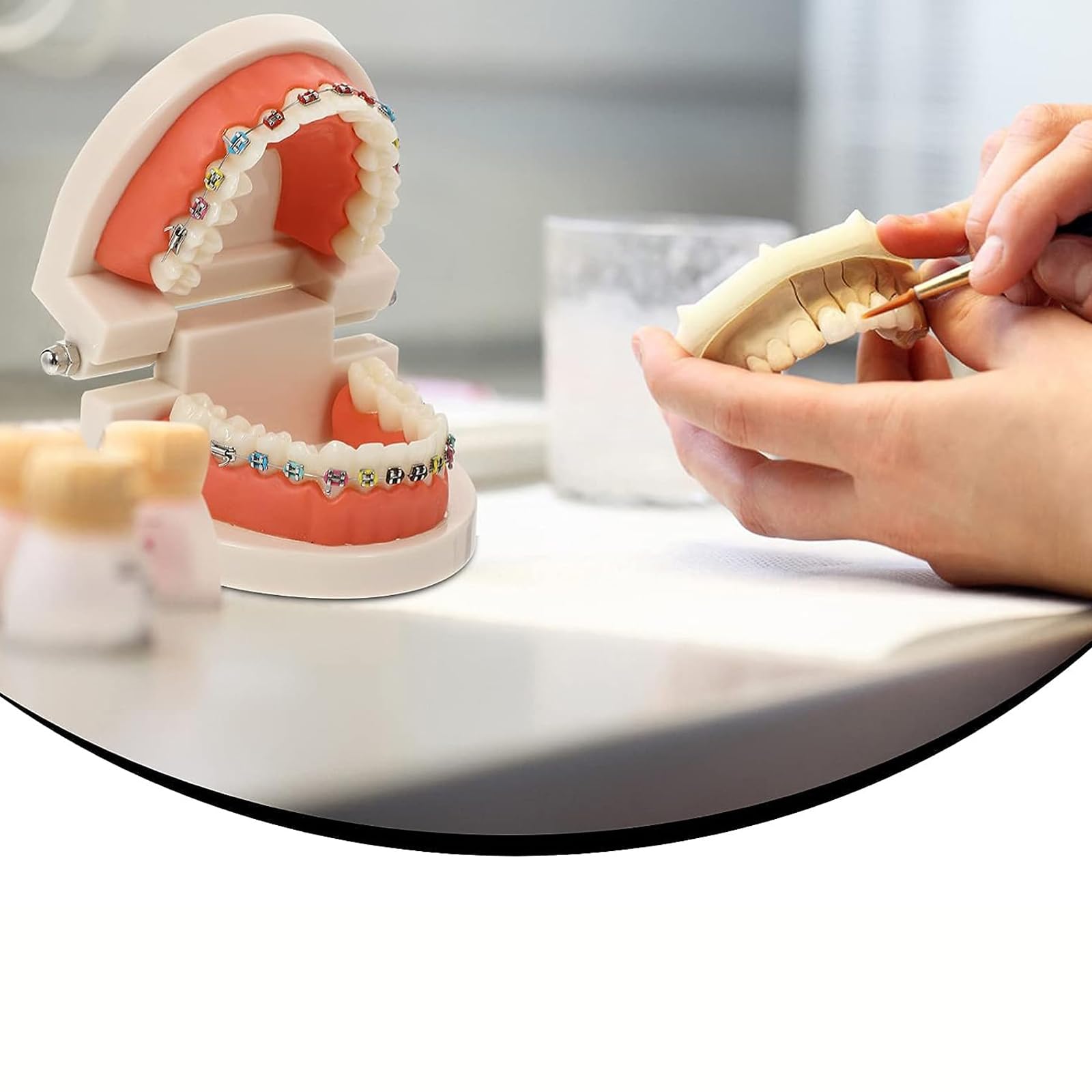 Modello dimostrativo ortodontico Dentale con Attacco Metallico Standard per Il Trattamento dei Denti, Modello di insegnamento, Studio e spiegazione