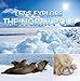 Let's Explore the North Pole: Arctic Exploration and Expedition (Children's Explore the World Books)