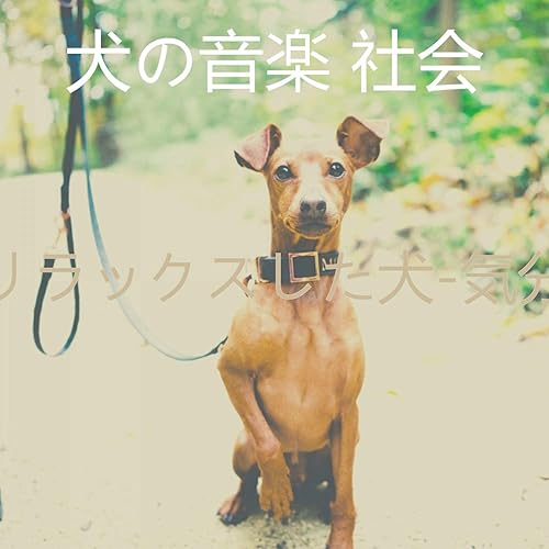 Amazon Music 犬の音楽 社会のリラックスした犬 気分 Amazon Co Jp