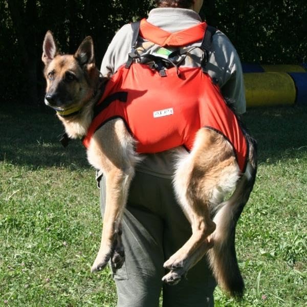 Taxi/Emergency Harness