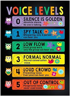 Voice Levels Owl Poster/Canvas-Art Picture Home Decor Wall Hangings Prints Wall Art Educational School Supplies Teacher Appreciation Gift Teacher Gifts, Back To School Gifts For Him Her Teachers