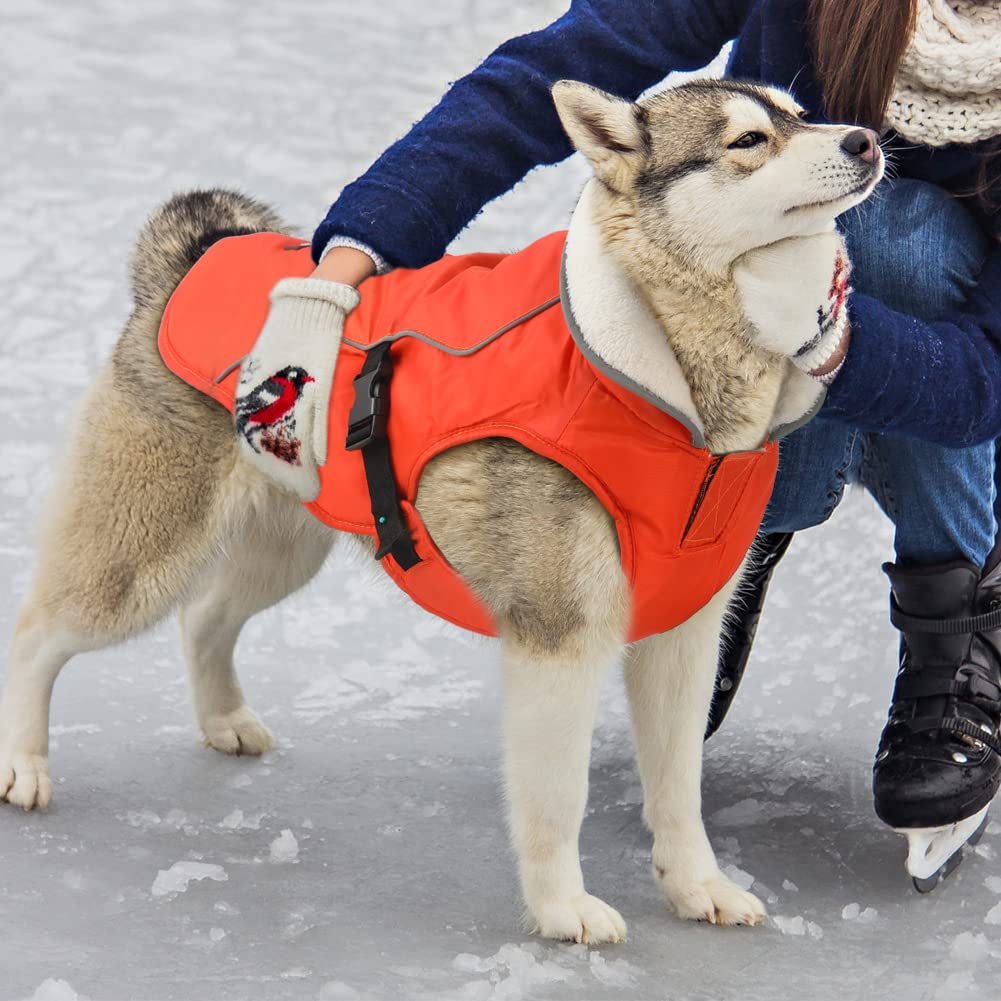 EMUST Abrigo de invierno para perro, chaqueta gruesa resistente al viento para perro, chaleco de invierno para perros pequeños/medianos/grandes, naranja, XXL