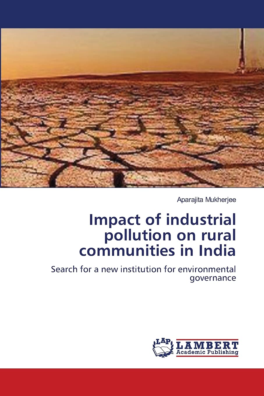 Impact of industrial pollution on rural communities in India: Search for a new institution for environmental governance