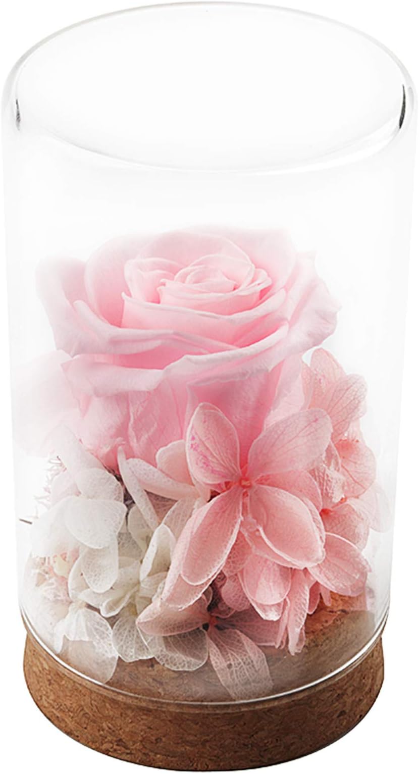 Best Gifts for Women,Handmade Preserved Flower Rose,Upscale Immortal Flowers,Gifts For Women,Her,Girls,Sister,Mom,Mothers Day,Valentines Day, Anniversary, Birthday,Wedding (Hexagonal Pink rose)