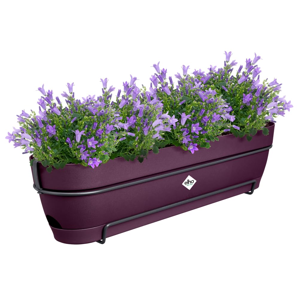Elho Vibia Campana Trough Allin1 70 - Jardinera por Balcón - Ø 70.4 x H 17.7 cm - Morado Arce