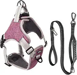 Coleira Peitoral e Guia Antipuxão Pet Cachorro MADOG Comfort (Rosa, G)