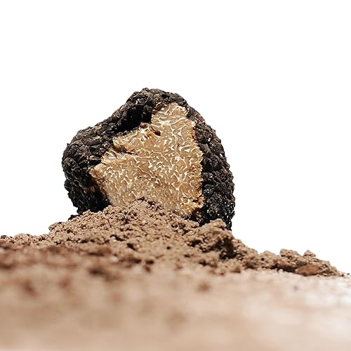 Miniatura 4 de Sabatino Tartufi - Sabor trufa 529oz